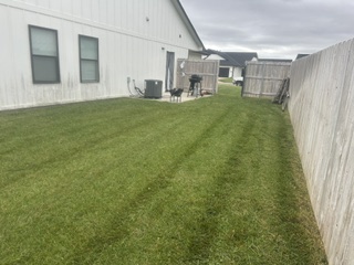 A backyard lawn with fresh mowing stripes beside a white fence
