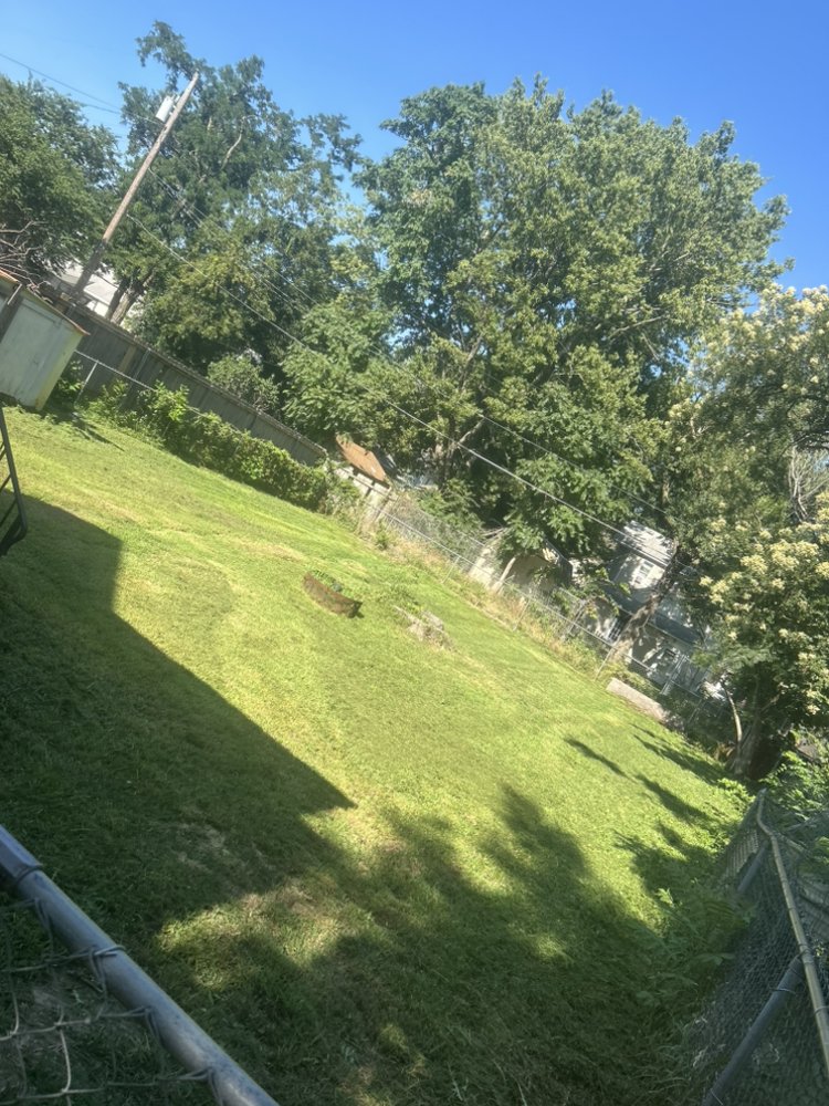 A shaded Wichita yard with trees, from the Adonis Lawn Care Yelp listing